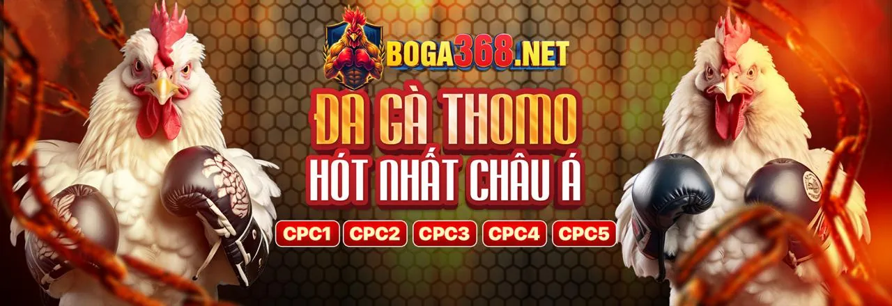Đá Gà Trực Tuyến Hấp Dẫn tại nuho90